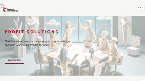 Diseño web para Profit Solutions Diseño web para Profit Solutions